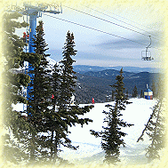 All collective of "EPOS" has gone to be rolled on a ski and snowboardes in Sheregesh